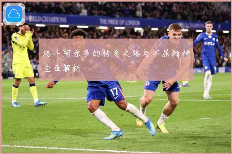 格斗阿尔多的传奇之路与不屈精神全面解析